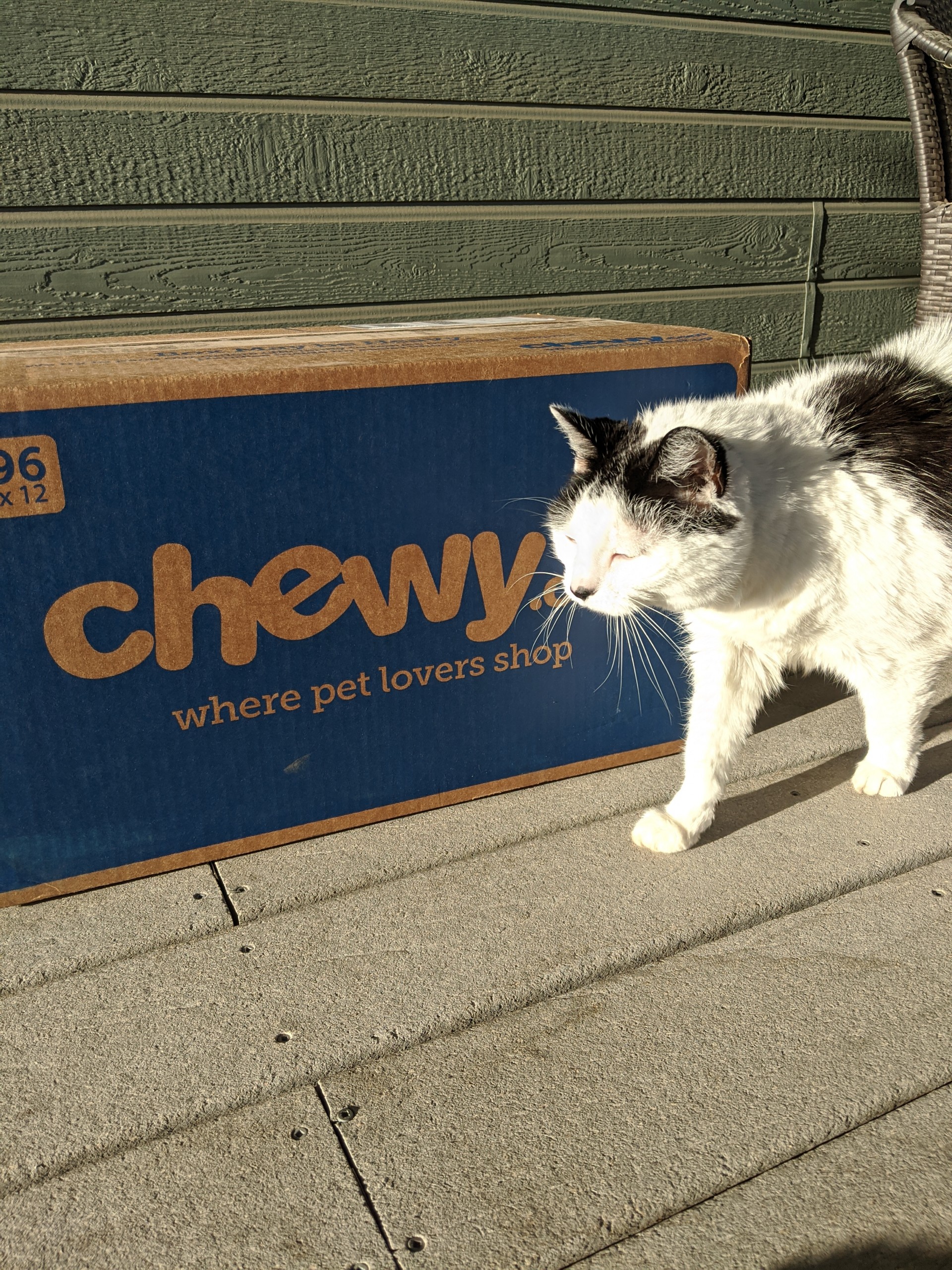 Chewy.com Review - Cat Box
