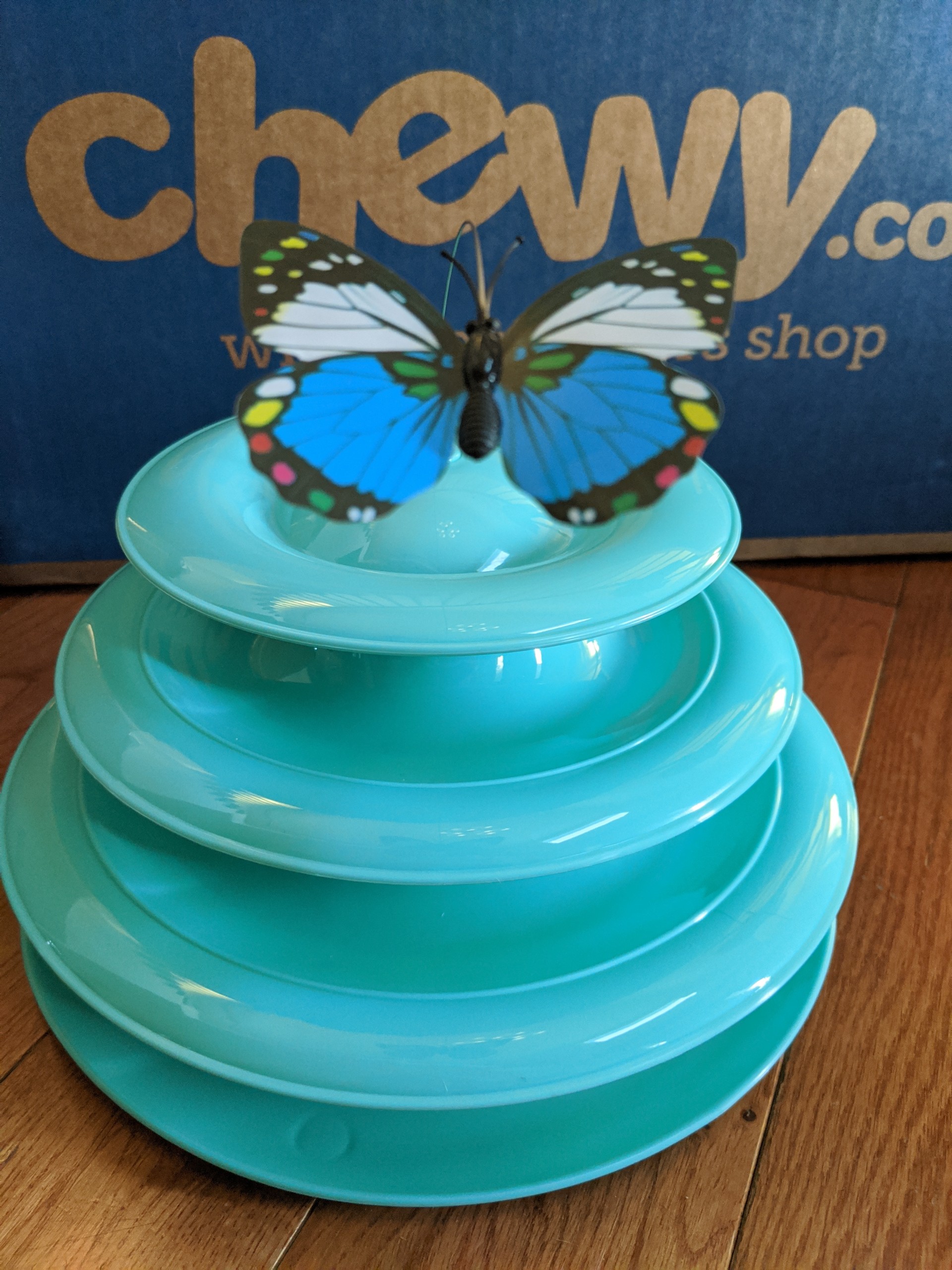 CandidReviews-Cattoy