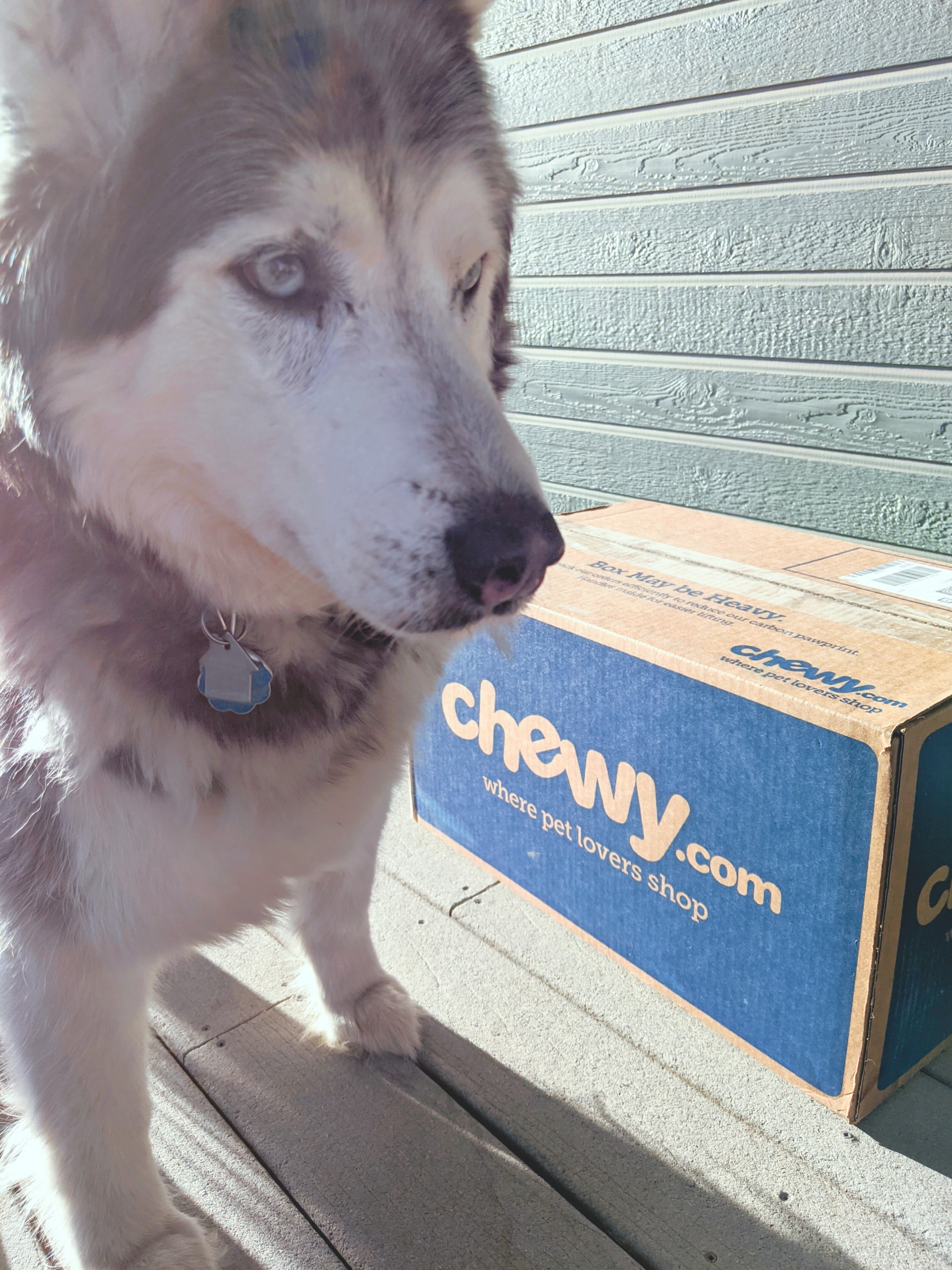 CandidReviews-ChewyRick