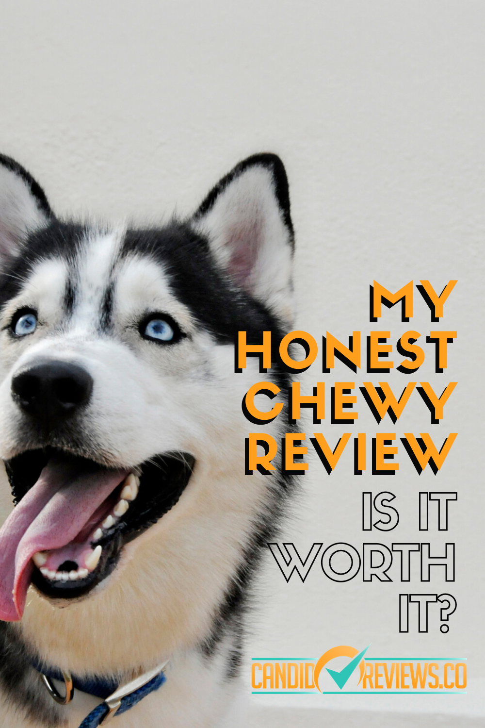 My Honest Chewy.com Review