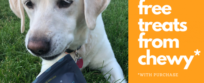 Free Treats From Chewy